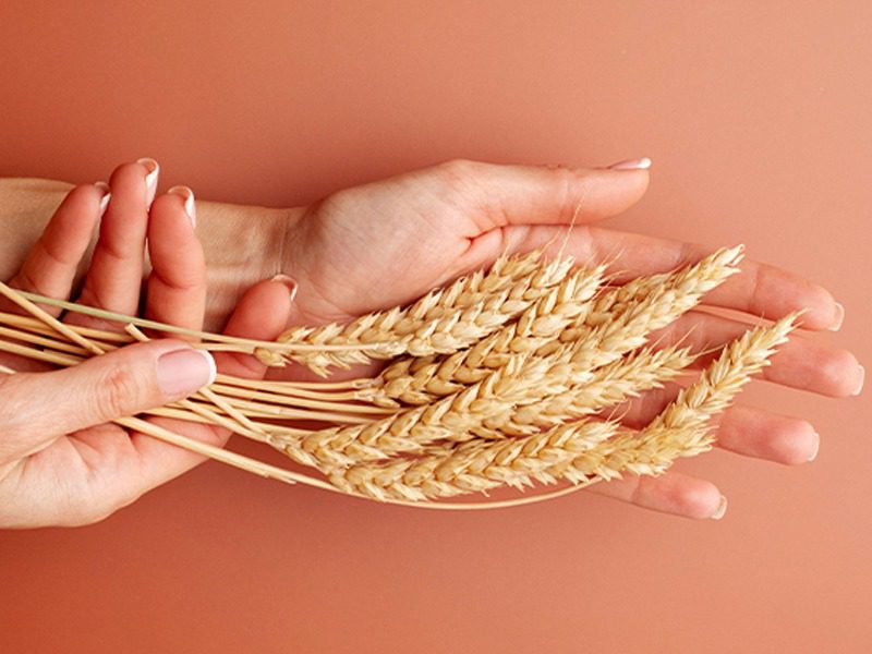 تاثیرات جوانه گندم روی جوانسازی پوست
